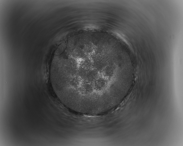 X0000090721015200707201343