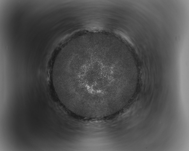 X0000090721016200707201343