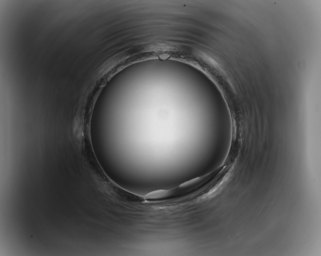 X0000090721017200707201343
