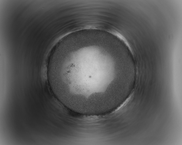 X0000090721019200707201344