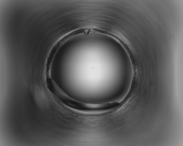 X0000090721020200707201344