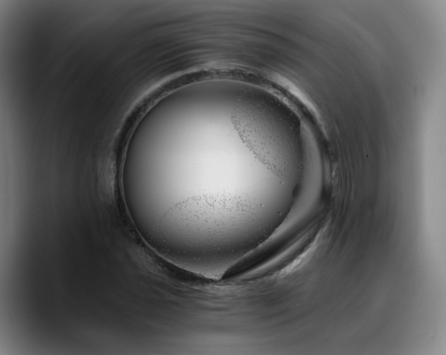 X0000090721021200707201344