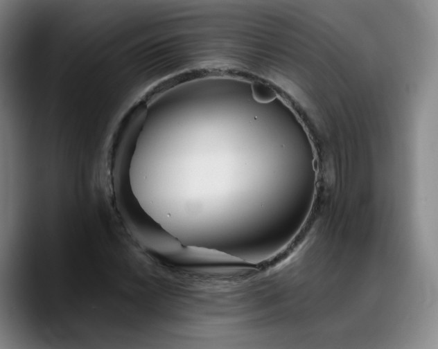 X0000090721022200707201344