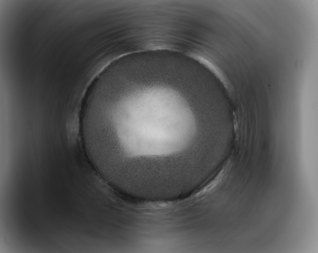 X0000090721023200707201344