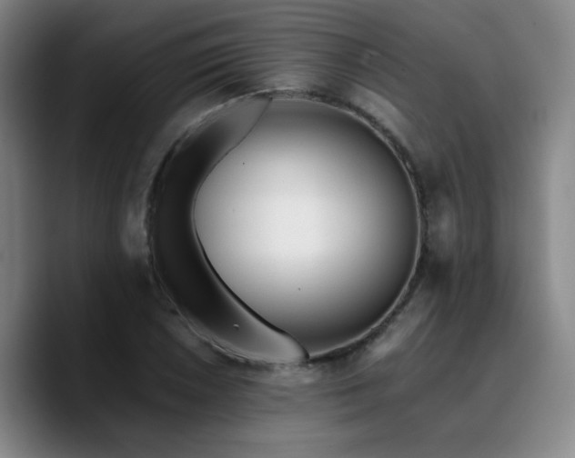 X0000090721026200707201344