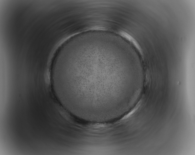 X0000090721027200707201344