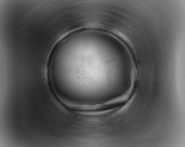 X0000090721029200707201344