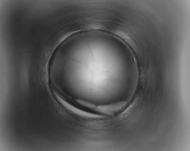 X0000090721031200707201344