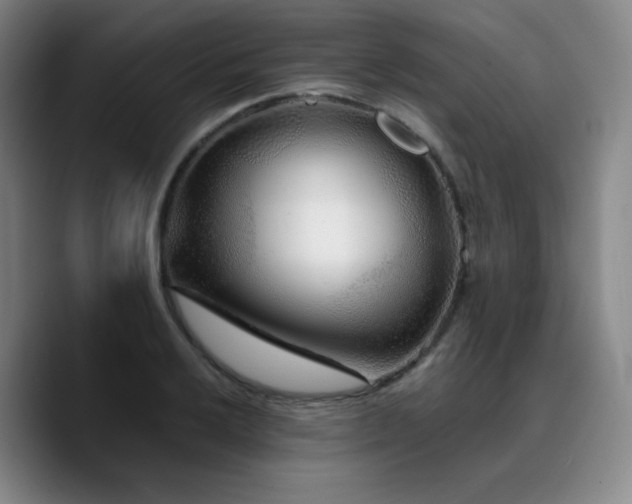 X0000090721032200707201344