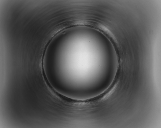 X0000090721033200707201344