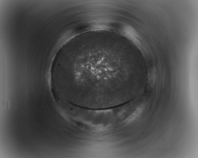 X0000090721034200707201344