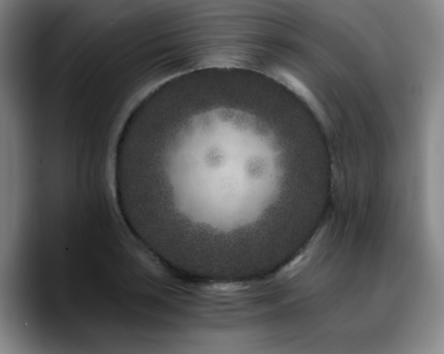 X0000090721035200707201344