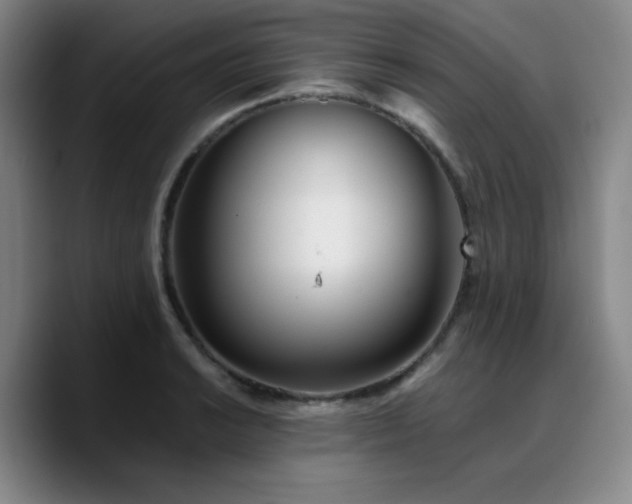 X0000090721038200707201344