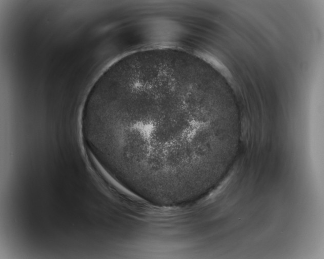 X0000090721039200707201344