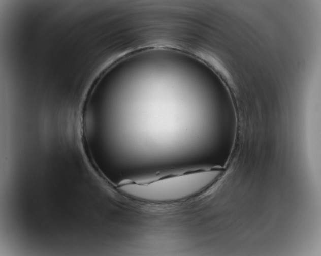 X0000090721040200707201344