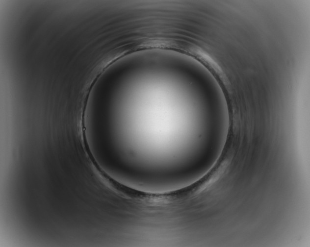 X0000090721041200707201344