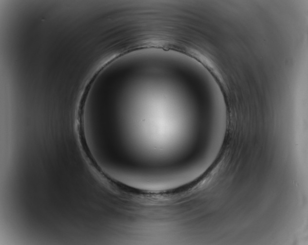 X0000090721042200707201344