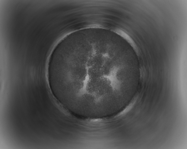 X0000090721043200707201344