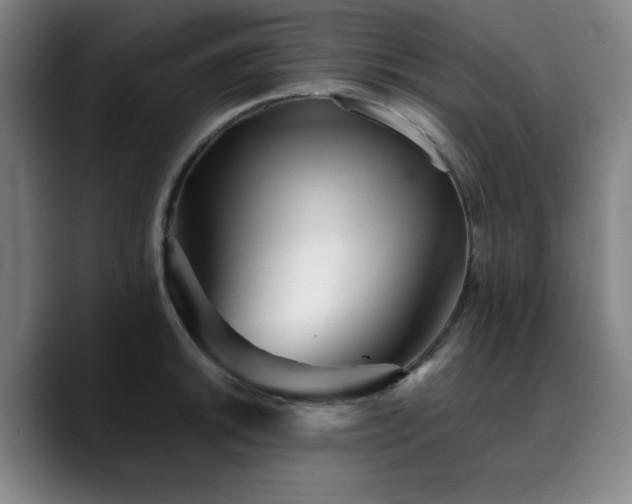 X0000090721046200707201344