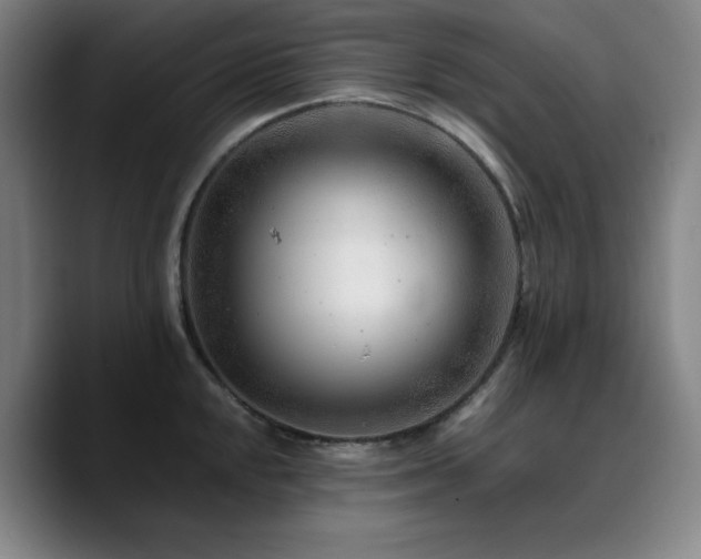 X0000090721048200707201344