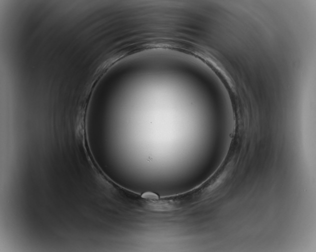 X0000090721049200707201344