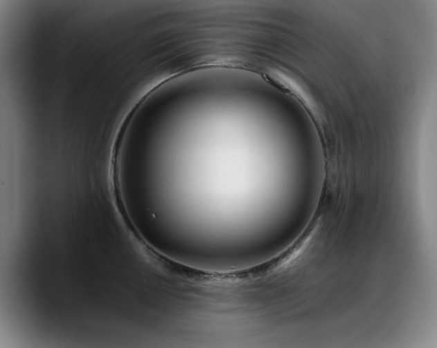 X0000090721050200707201344