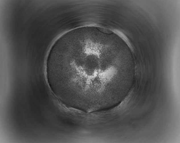 X0000090721051200707201344