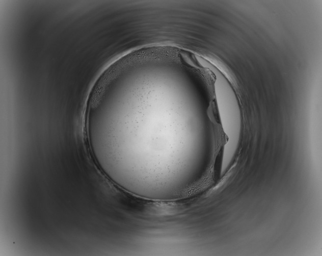 X0000090721052200707201344
