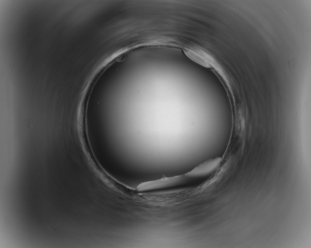 X0000090721053200707201344