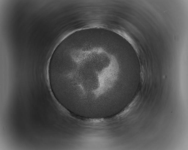 X0000090721055200707201344