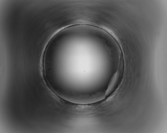 X0000090721056200707201344