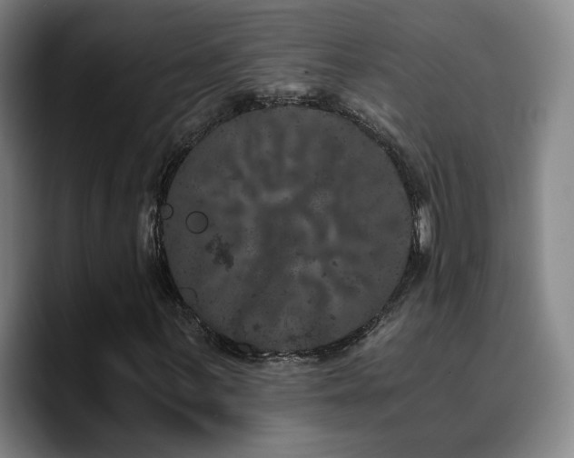 X0000090721059200707201343