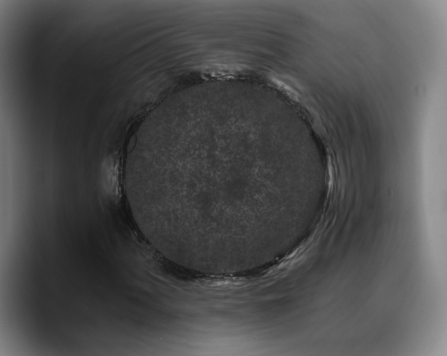 X0000090721060200707201343