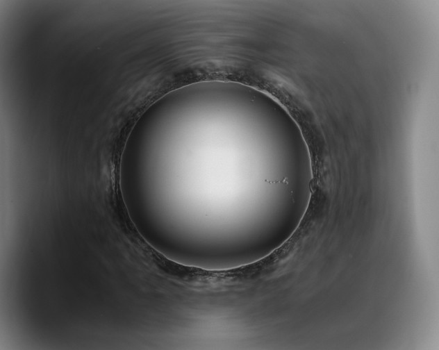 X0000090721061200707201343
