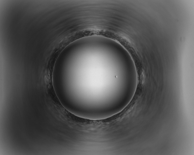 X0000090721062200707201343