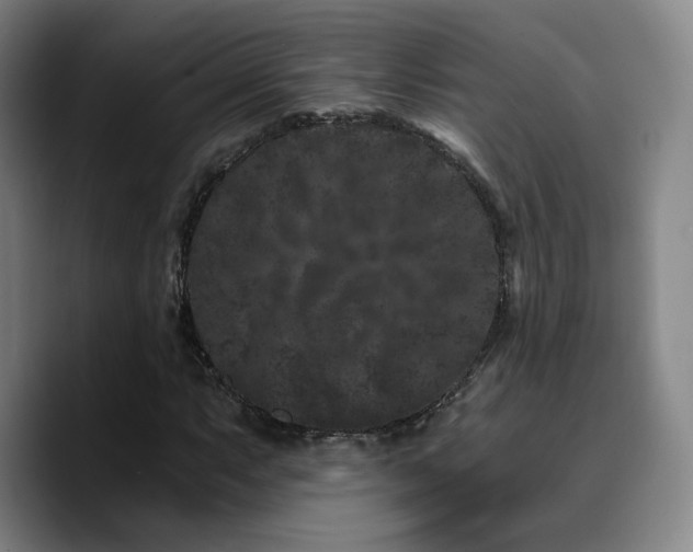 X0000090721063200707201343