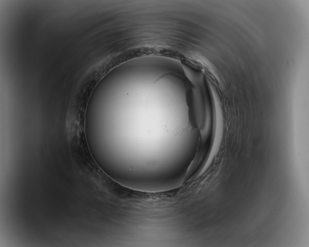 X0000090721064200707201343