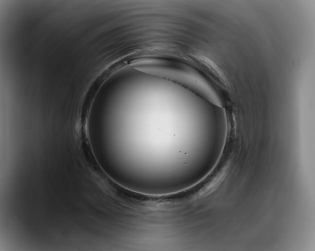 X0000090721065200707201343