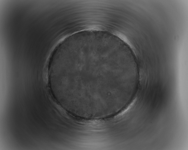 X0000090721067200707201343