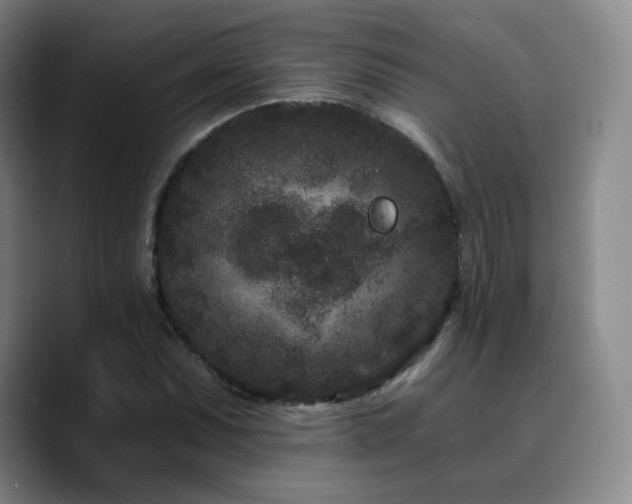 X0000090721071200707201343