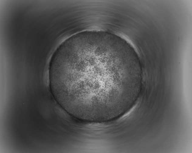 X0000090721075200707201343