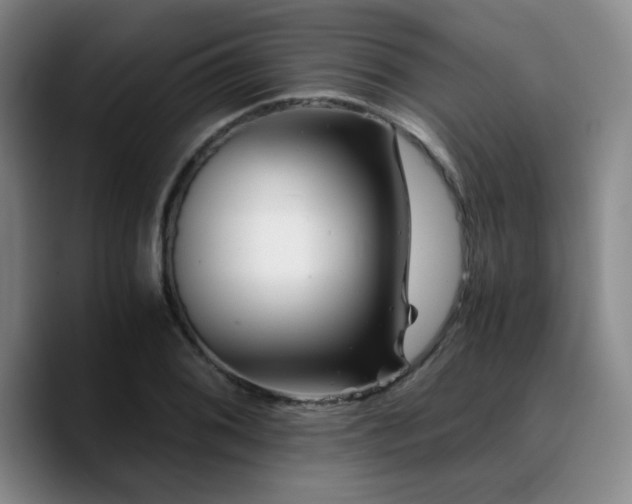 X0000090721076200707201343