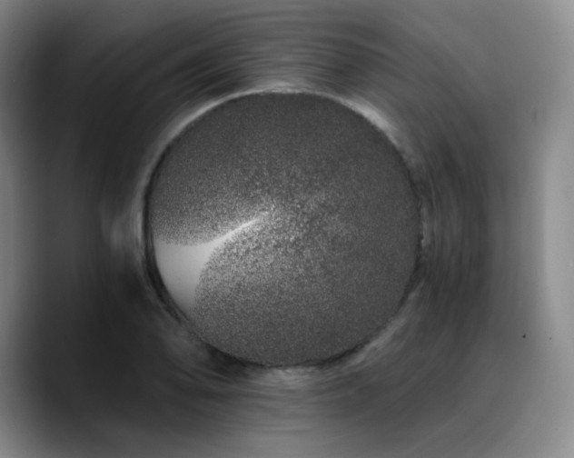 X0000090721078200707201343