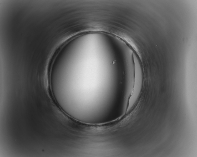 X0000090721080200707201343