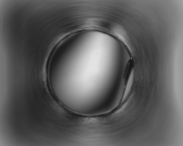 X0000090721082200707201343