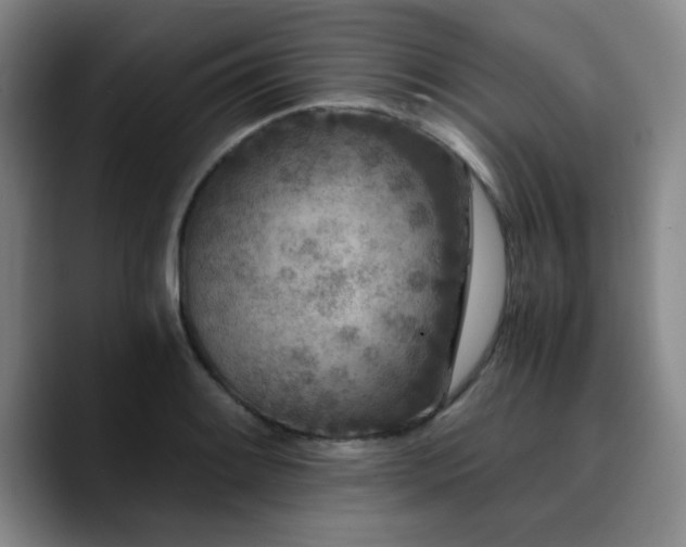 X0000090721084200707201343