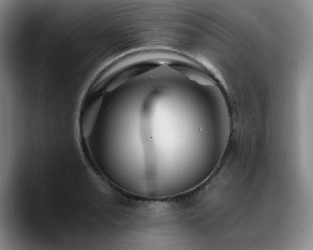 X0000090721085200707201343