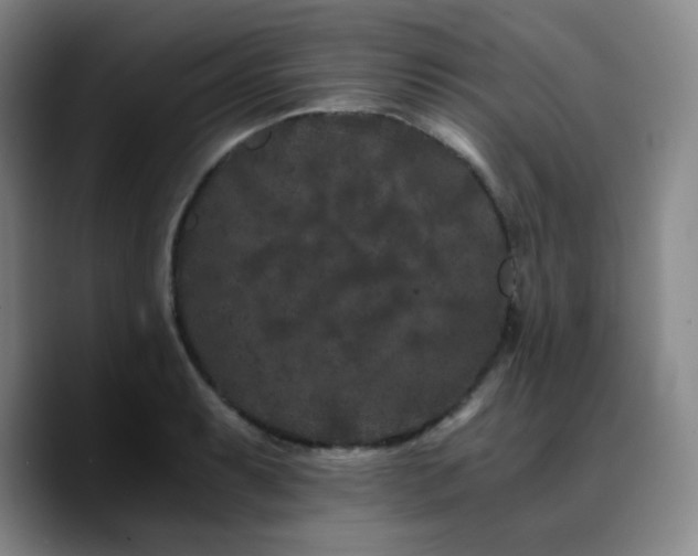 X0000090721087200707201343