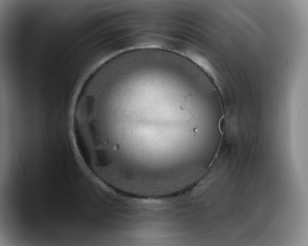 X0000090721088200707201343