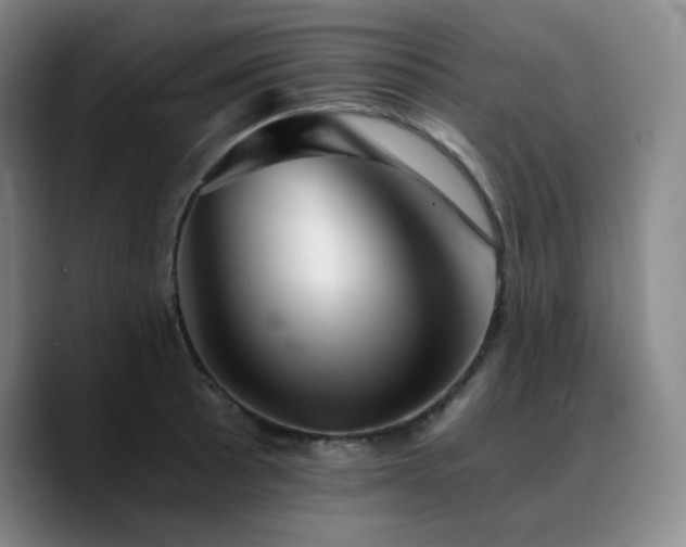 X0000090721089200707201343